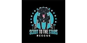 Scoot to the Stars Logo